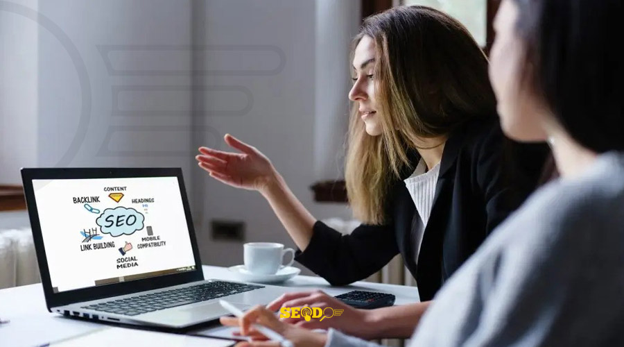 سئو کار حرفه ای به چه کسی گفته می‌شود