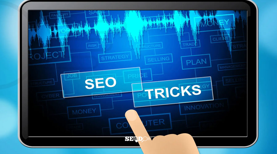 سئو تصاویر و استفاده از جستجوی تصویری