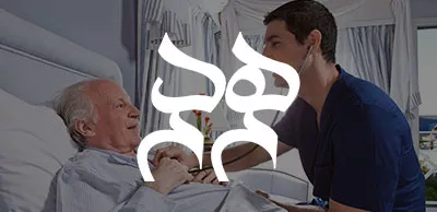 سفارش سئو سایت هم دم